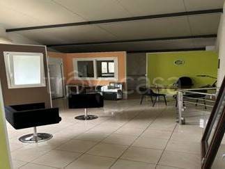immagine annuncio 11 di 14
