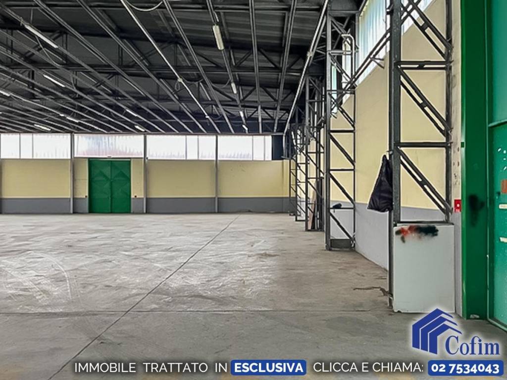 immagine annuncio 9 di 15
