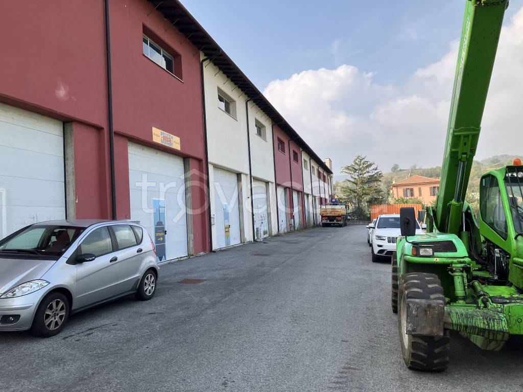 immagine annuncio 10 di 12