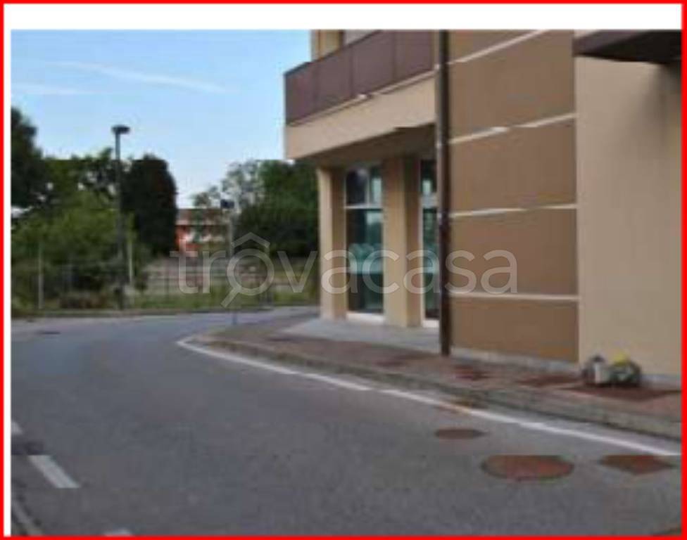 immagine annuncio 3 di 12