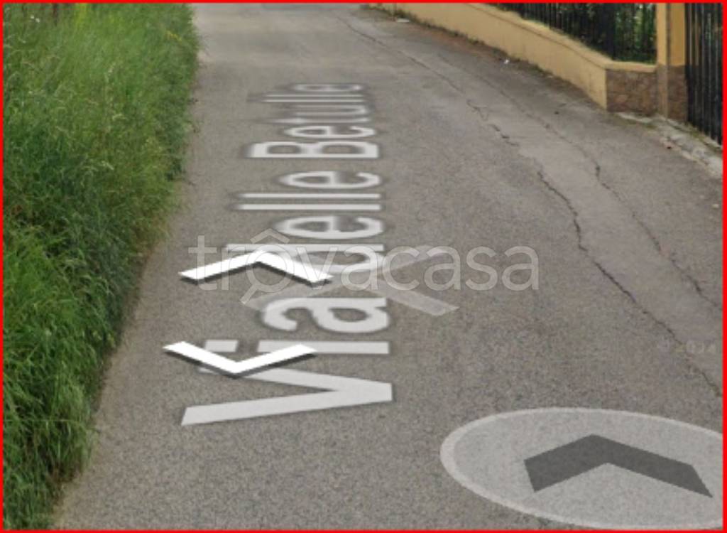 immagine annuncio 5 di 11