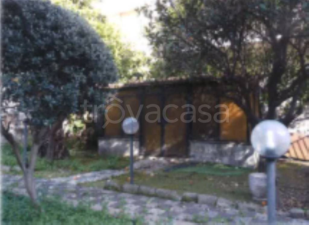immagine annuncio 5 di 11