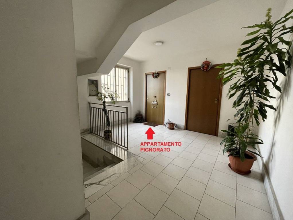 immagine annuncio 2 di 12