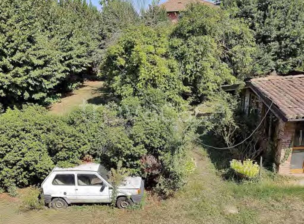 immagine annuncio 2 di 14