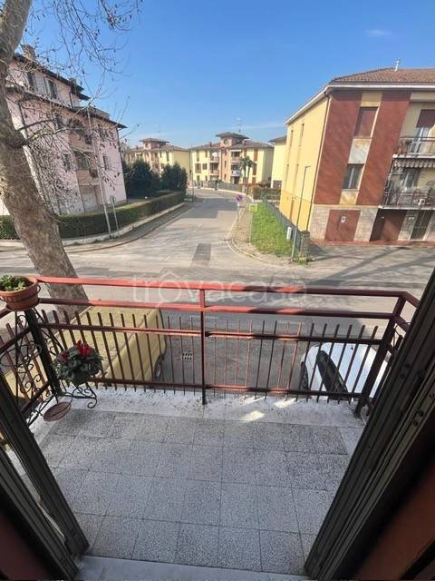 immagine annuncio 9 di 13