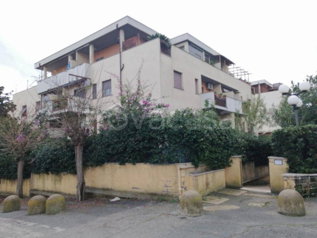 immagine annuncio 5 di 13