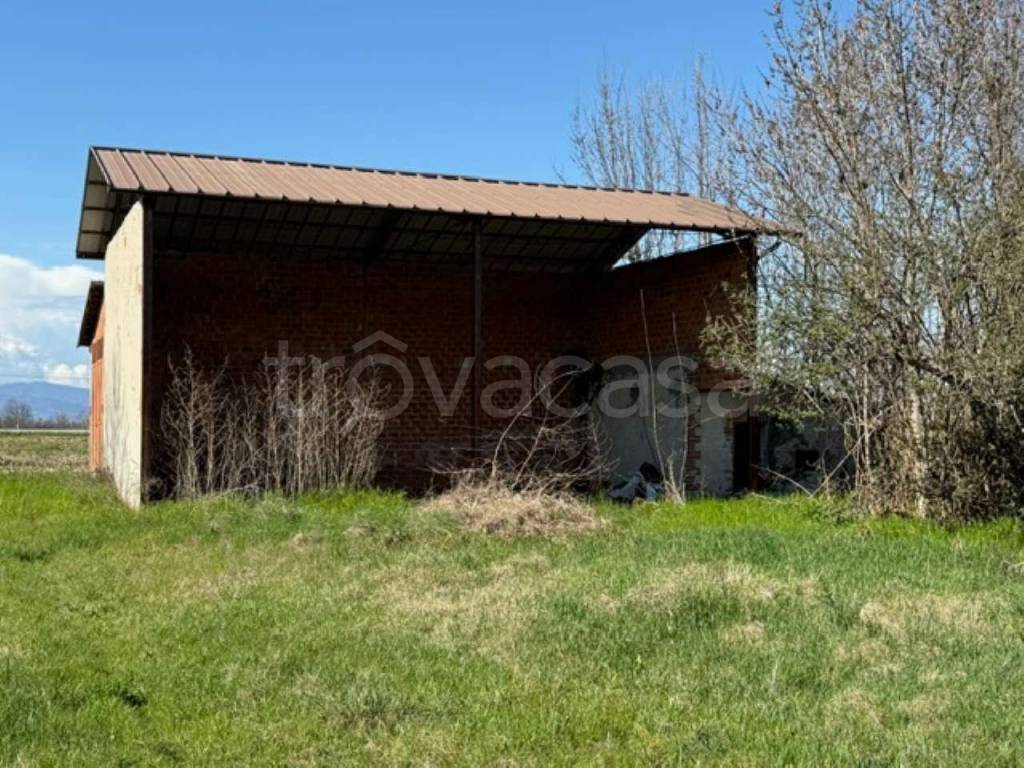 immagine annuncio 2 di 4