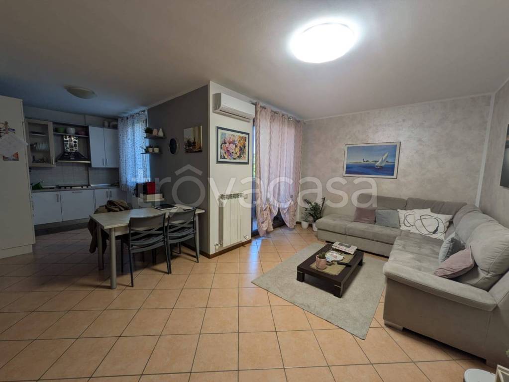 immagine annuncio 3 di 15