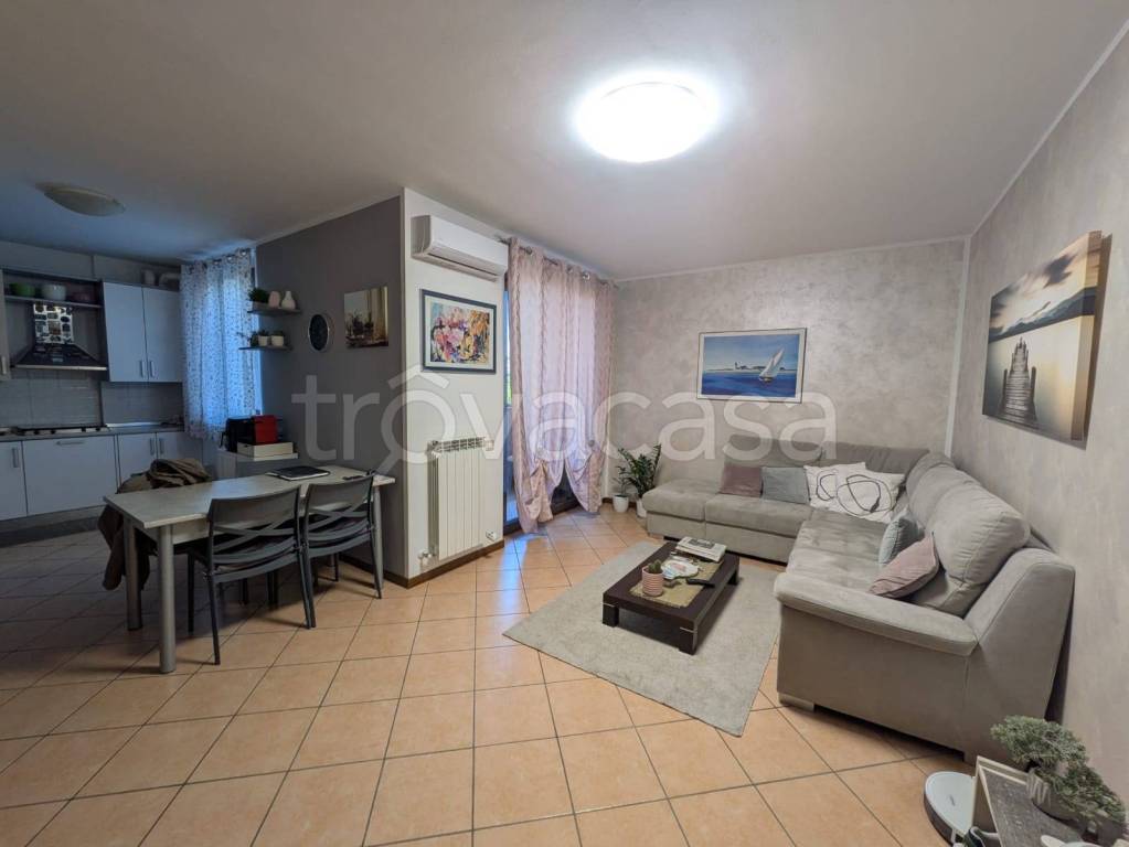 immagine annuncio 2 di 15