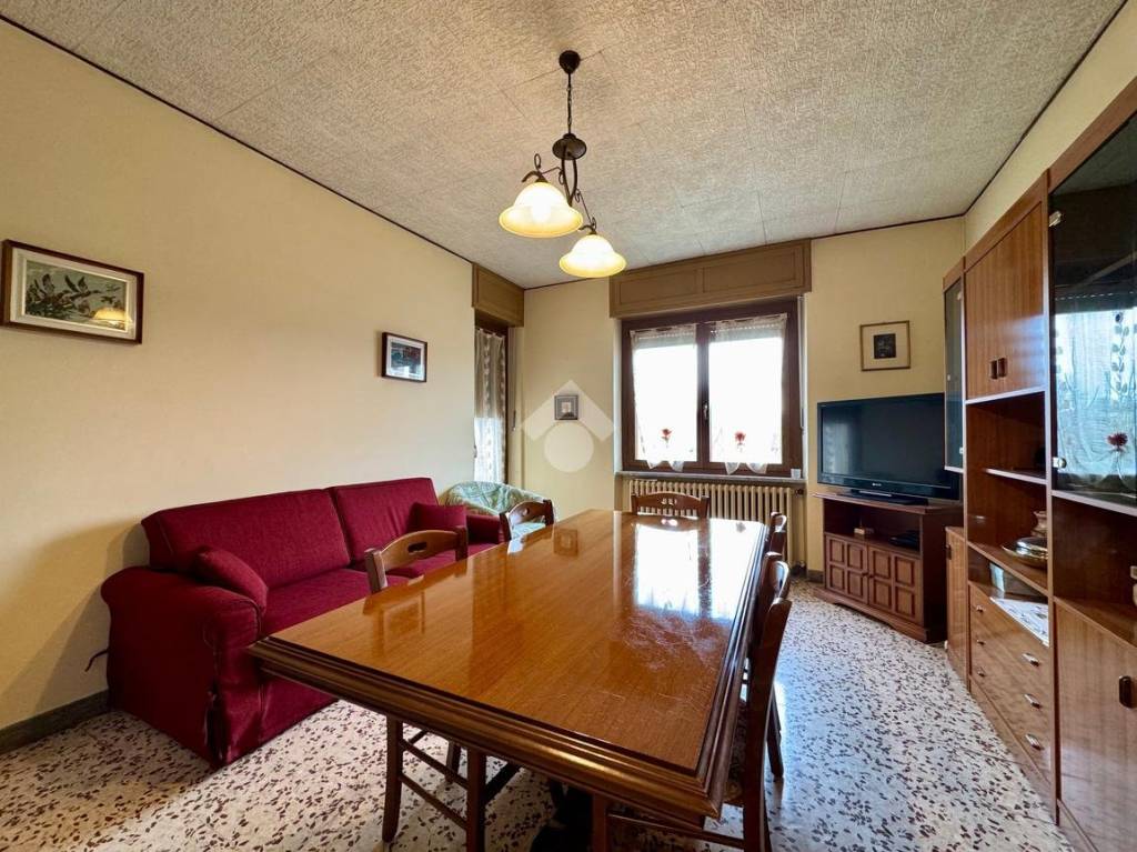 immagine annuncio 1 di 14