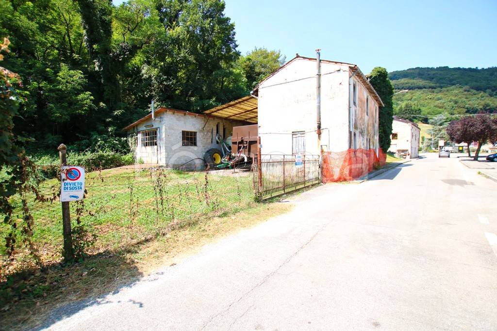 immagine annuncio 4 di 14