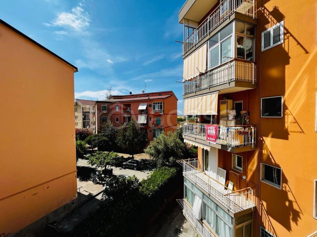 immagine annuncio 5 di 9