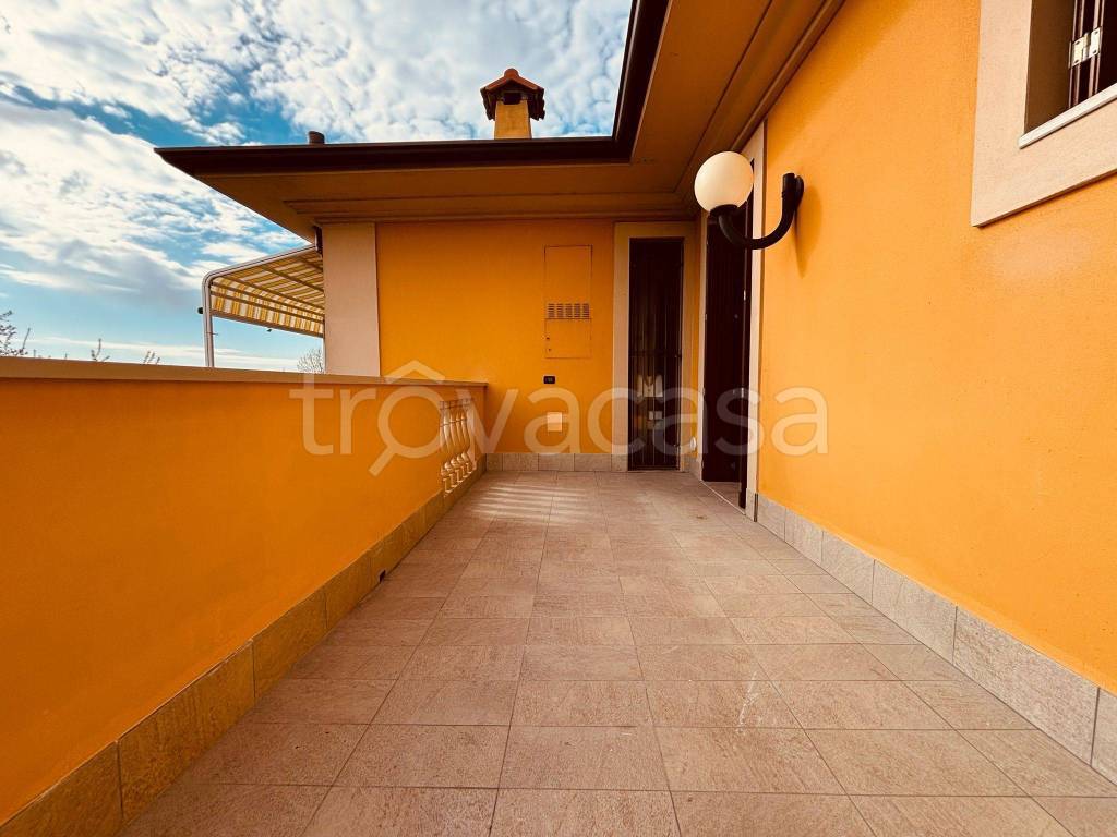 immagine annuncio 14 di 15