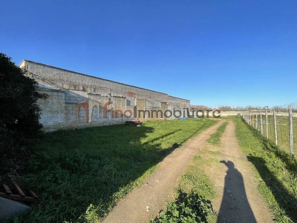 immagine annuncio 7 di 11