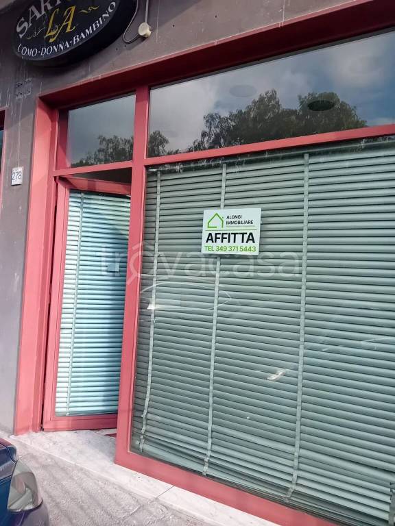 immagine annuncio 2 di 14