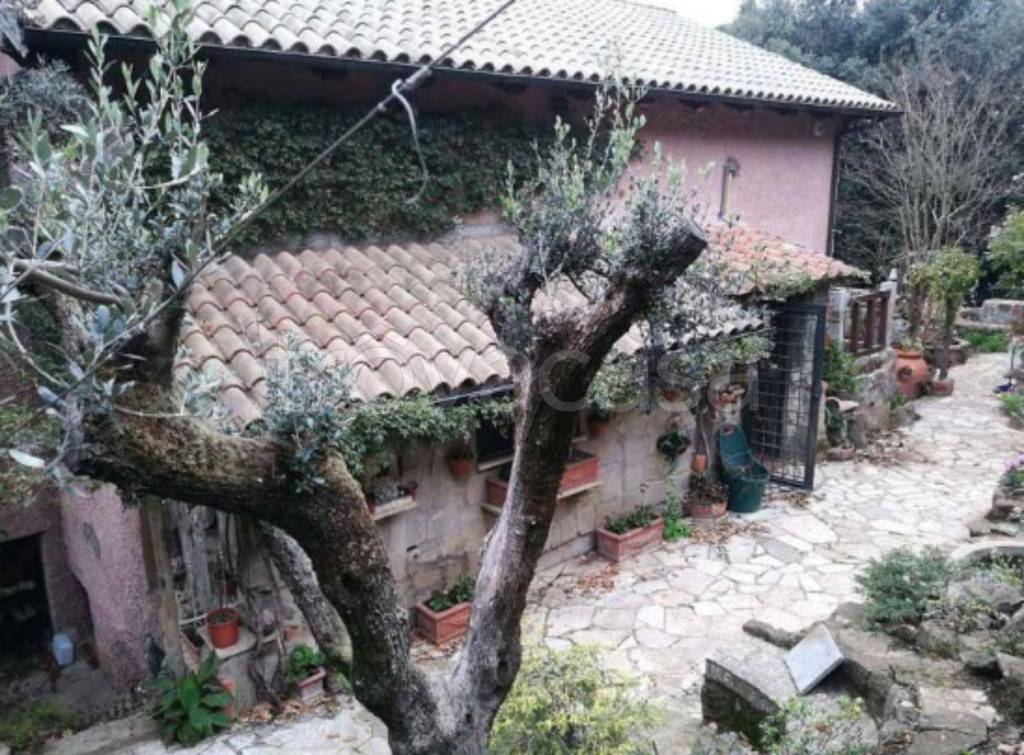 immagine annuncio 1 di 13