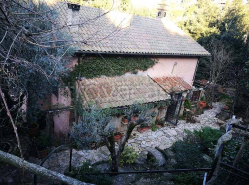 immagine annuncio 2 di 13