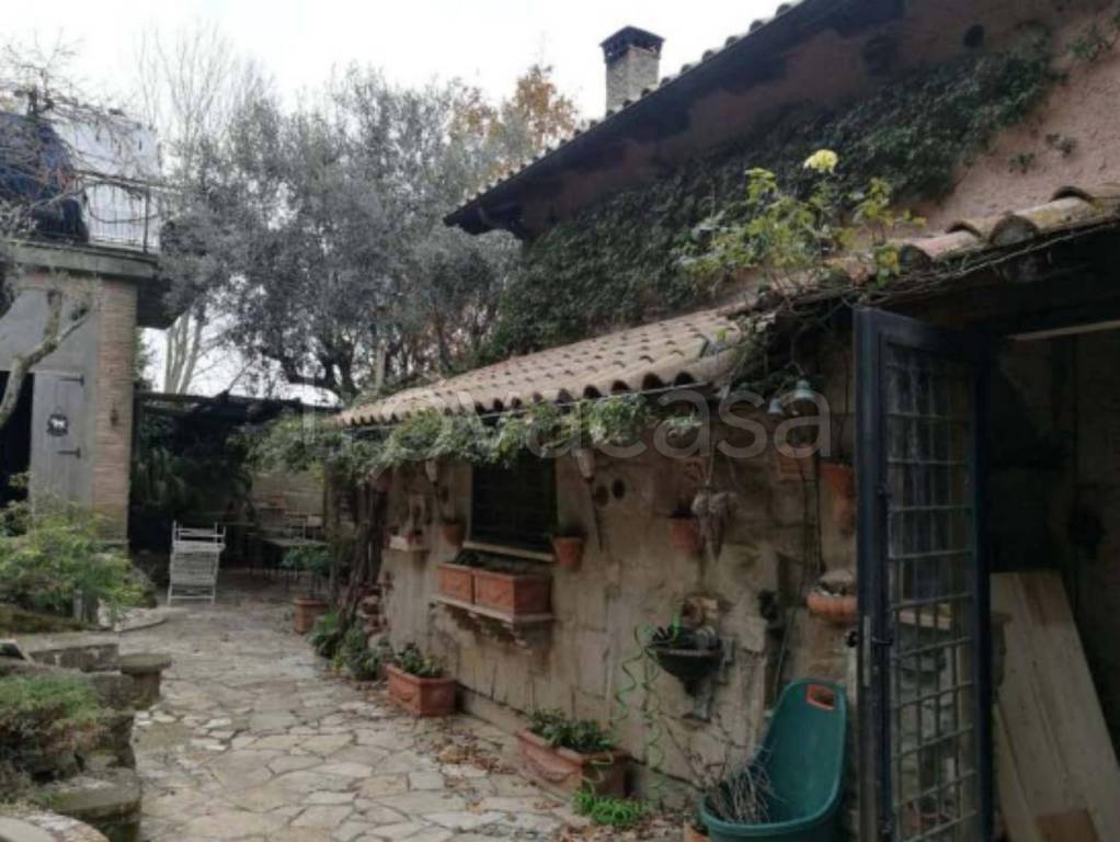 immagine annuncio 5 di 13