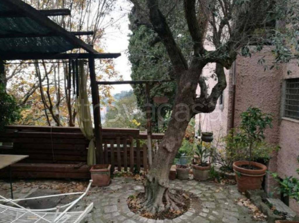 immagine annuncio 11 di 13