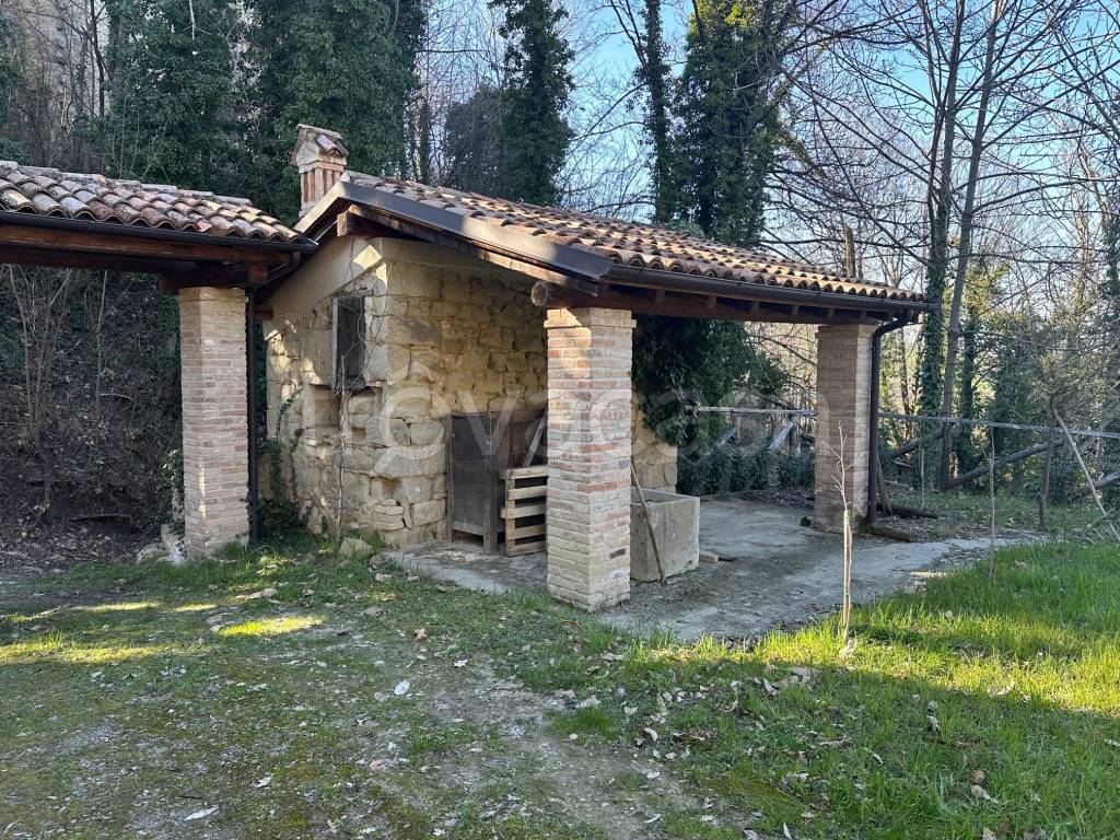 immagine annuncio 6 di 15