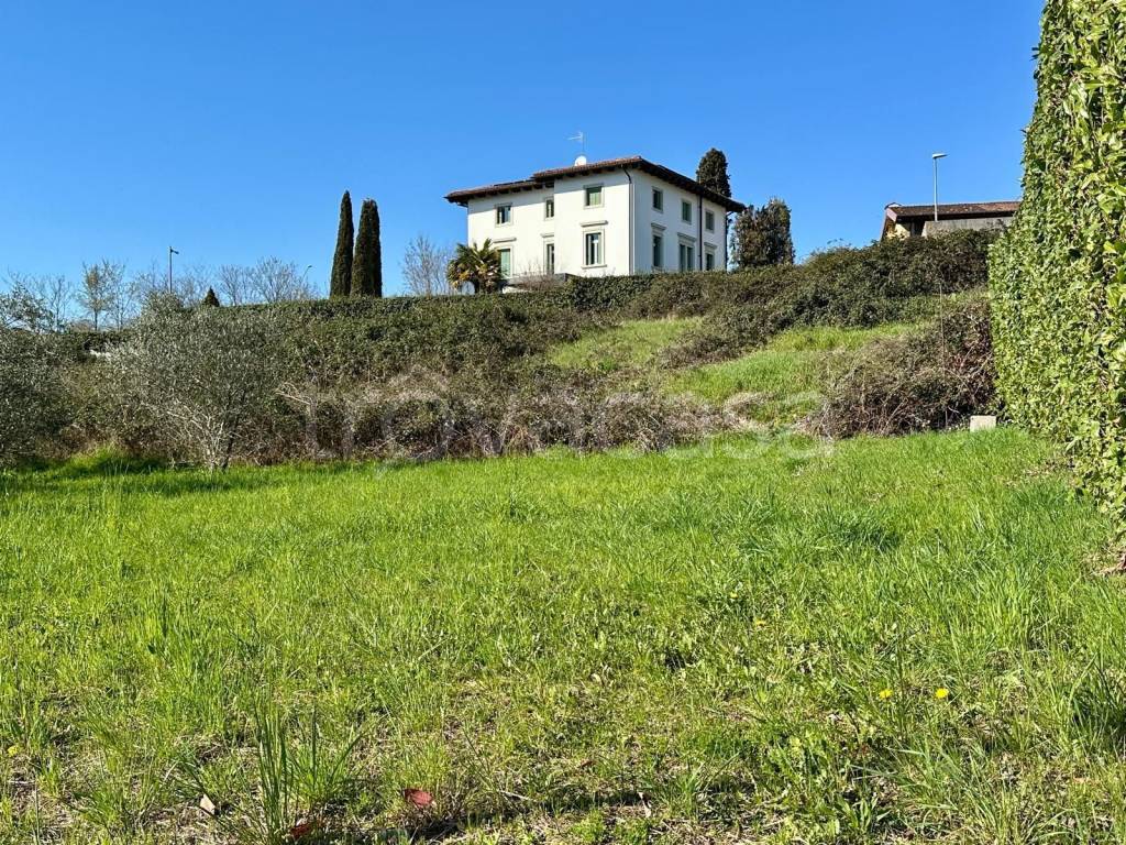 immagine annuncio 5 di 12