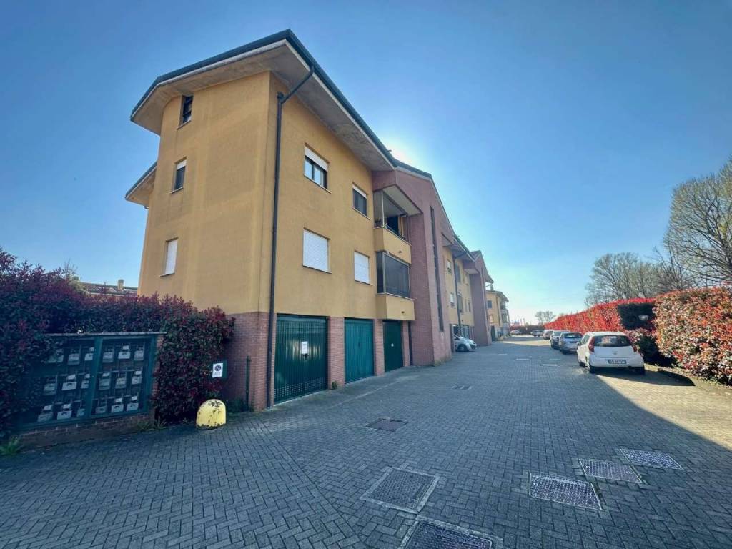 immagine annuncio 2 di 15