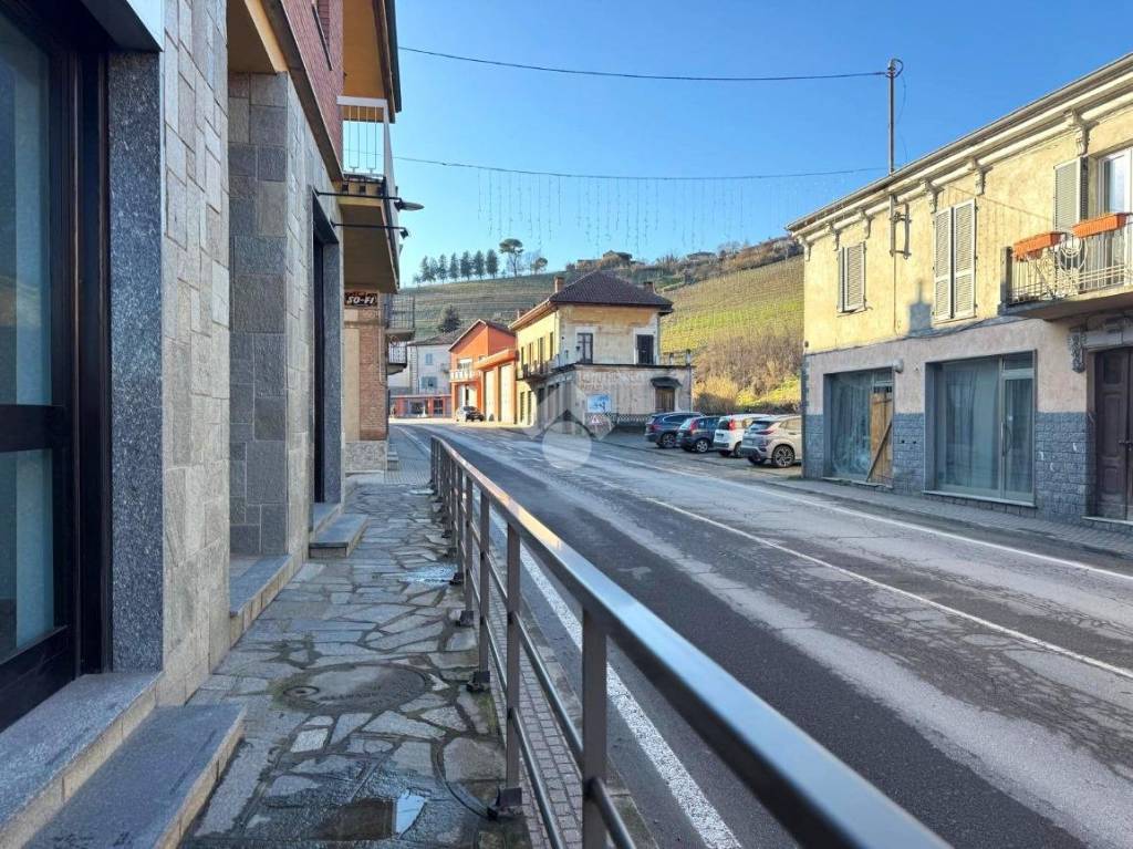 immagine annuncio 6 di 14