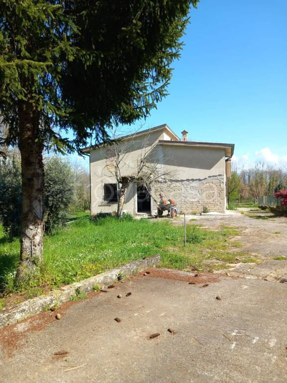 immagine annuncio 2 di 8