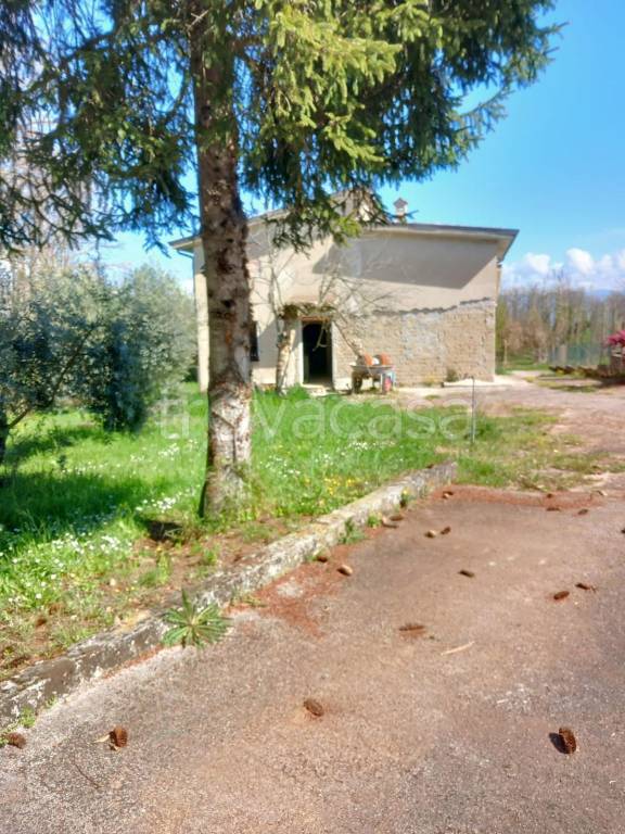 immagine annuncio 6 di 8