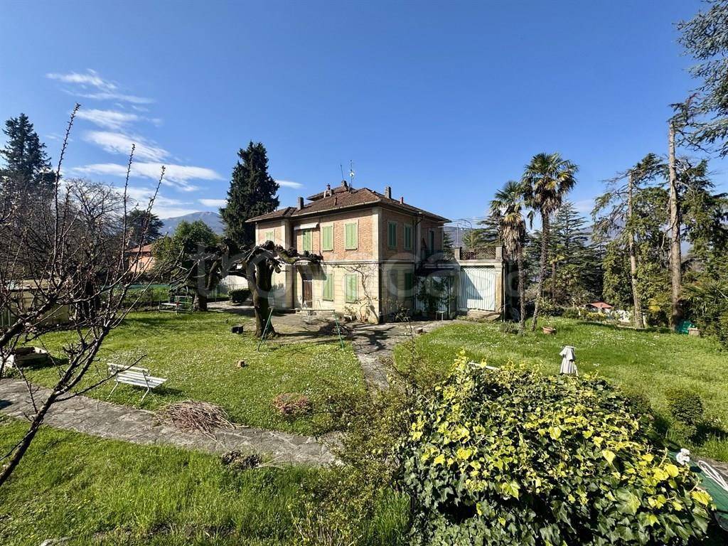 immagine annuncio 12 di 15