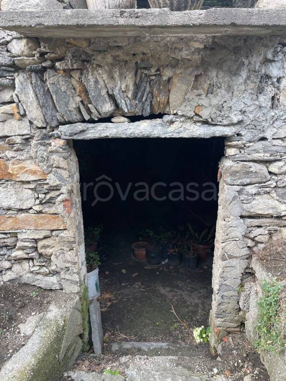 immagine annuncio 3 di 9
