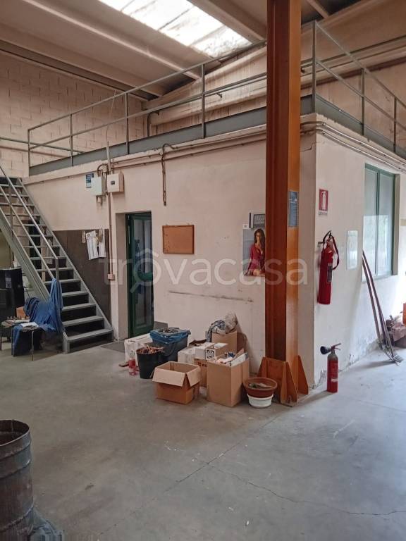 immagine annuncio 5 di 6