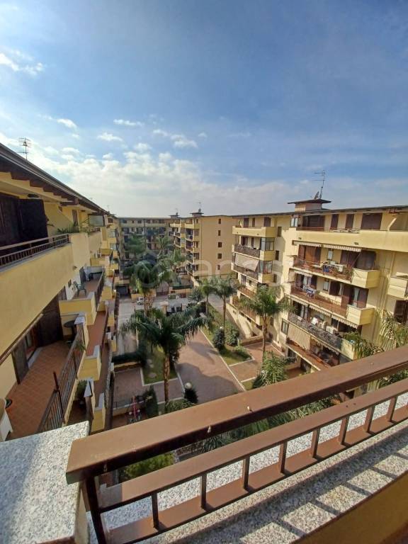 immagine annuncio 11 di 12