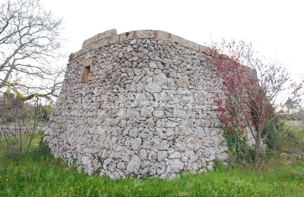 immagine annuncio 5 di 14