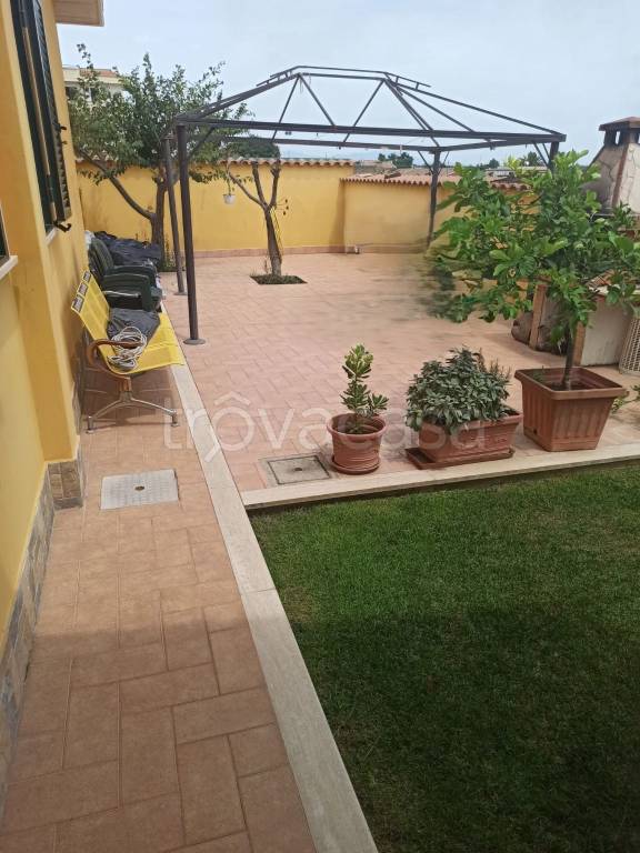 immagine annuncio 9 di 11