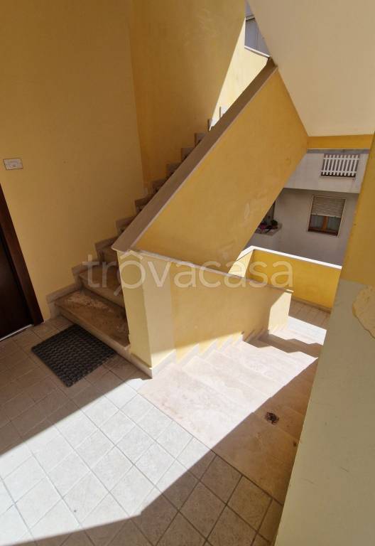 immagine annuncio 8 di 14