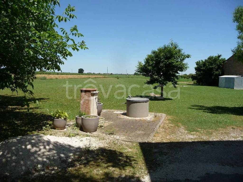 immagine annuncio 3 di 8
