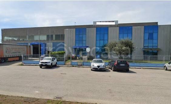 immagine annuncio 2 di 7