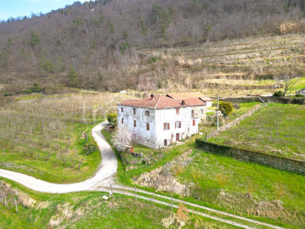 immagine annuncio 3 di 14