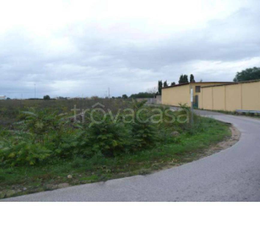 immagine annuncio 5 di 12