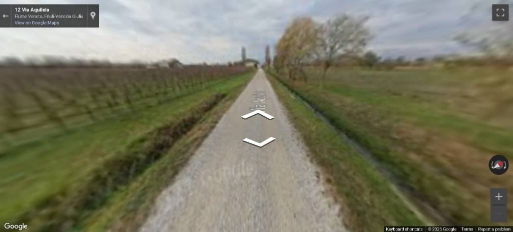 immagine annuncio 6 di 14