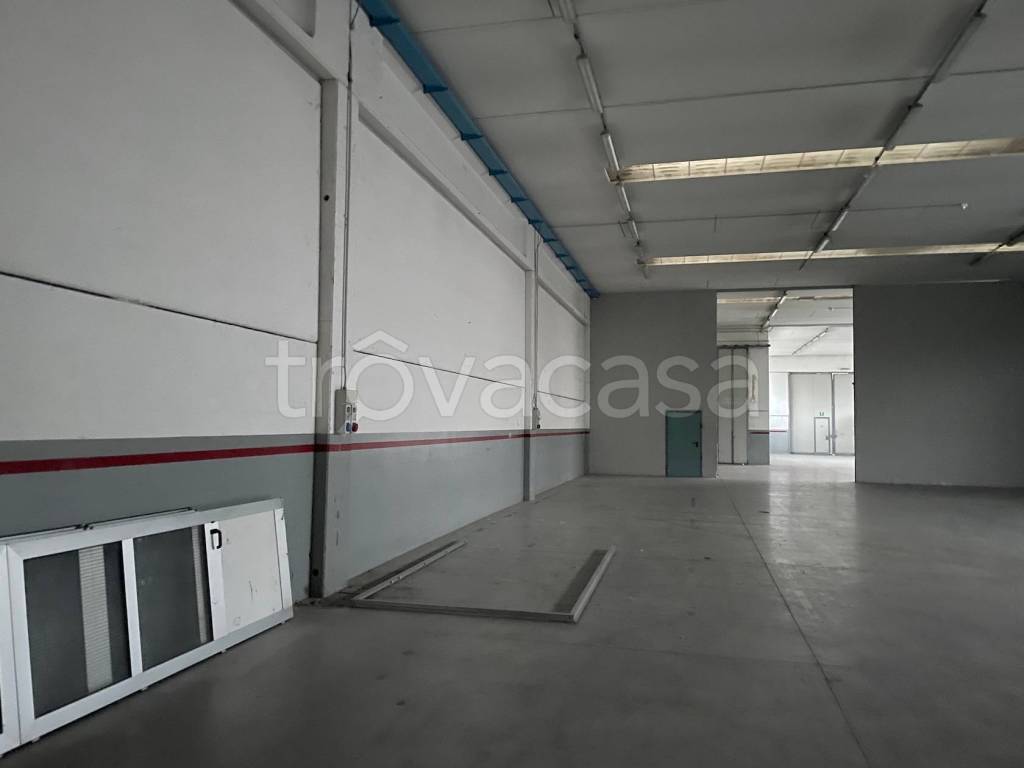 immagine annuncio 7 di 13
