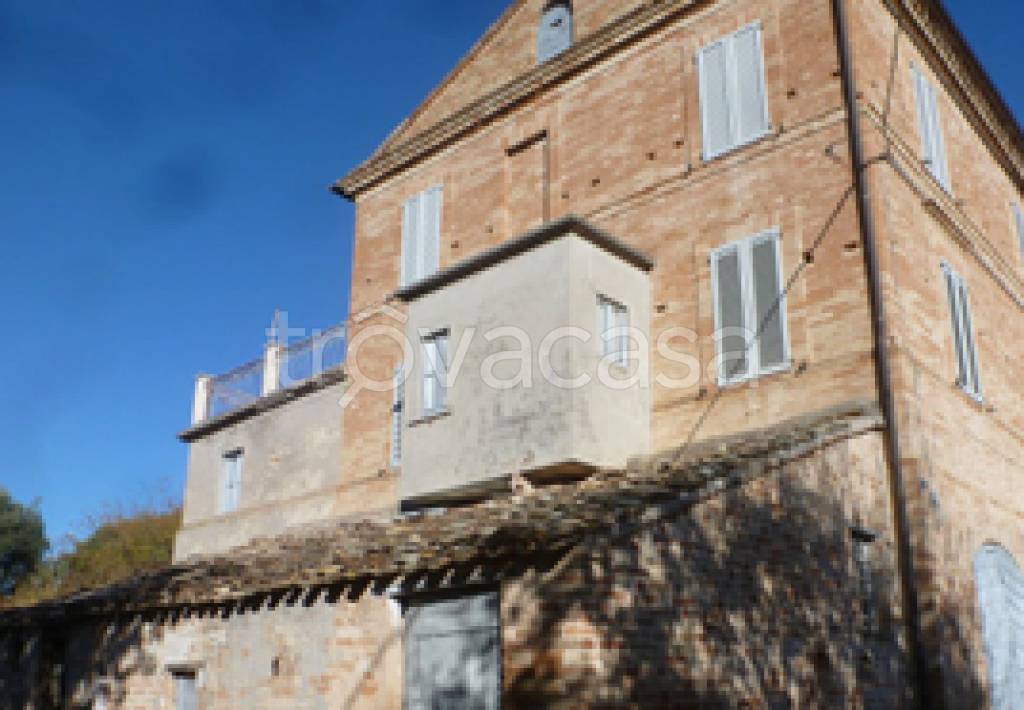 immagine annuncio 6 di 11