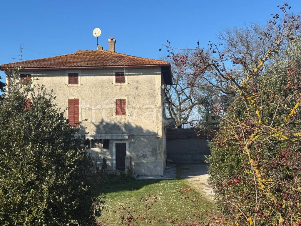 immagine annuncio 3 di 11