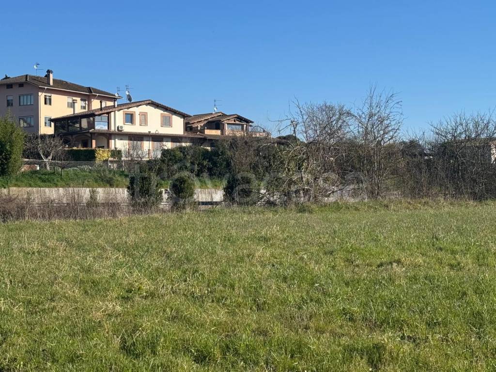 immagine annuncio 10 di 11