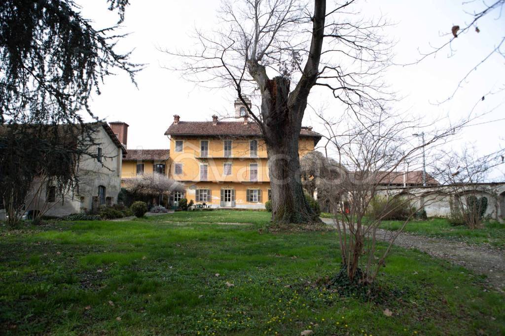 immagine annuncio 9 di 15