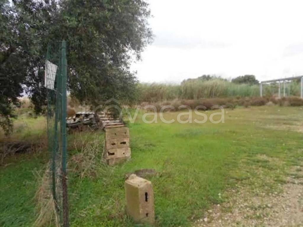 immagine annuncio 6 di 8