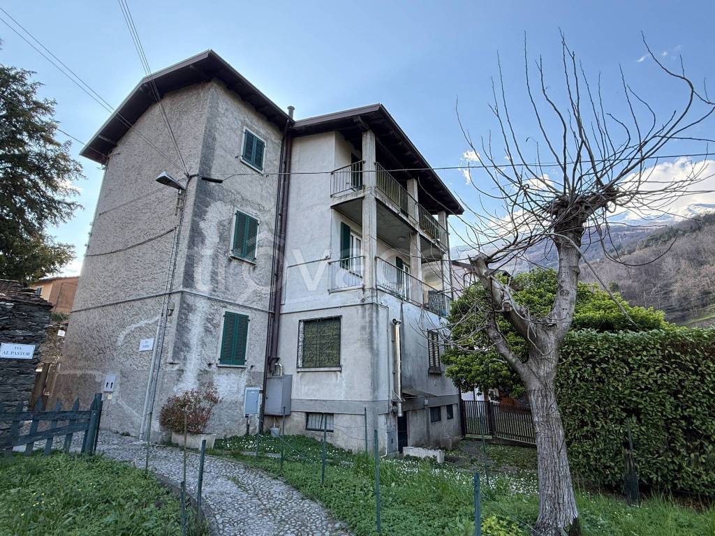 immagine annuncio 6 di 15