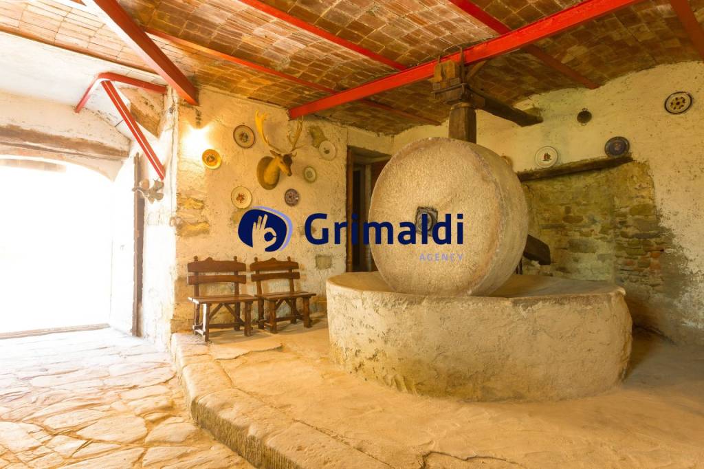 immagine annuncio 7 di 13