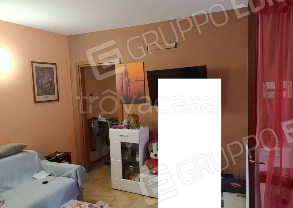 immagine annuncio 4 di 7